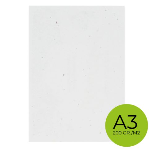 Unbedrucktes Samenpapier DIN A3 | 200 g/m² - Bild 1